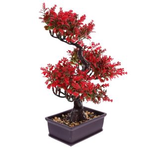 arbuste bonsai japonais