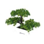 arbre bonsai jardin japonais trois branches