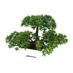 bonsai jardin japonais trois branches