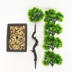 bonsaï pour décoration intérieure