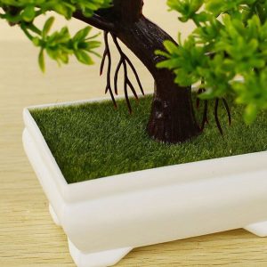 bonsai trois branches jardin japonais