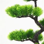 bonsaï zen pour une ambiance sereine