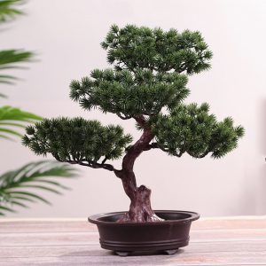 miniature de bonsaï jardin japonais