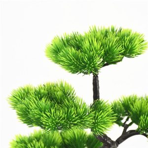 plante bonsaï zen décoration