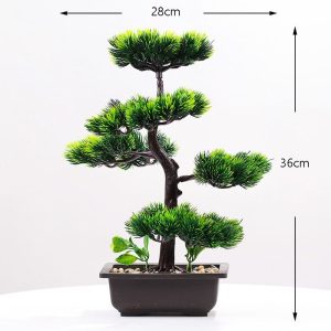 plante décorative bonsaï jardin japonais